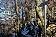75 Questo il sentiero evitato per neve ghiacciata